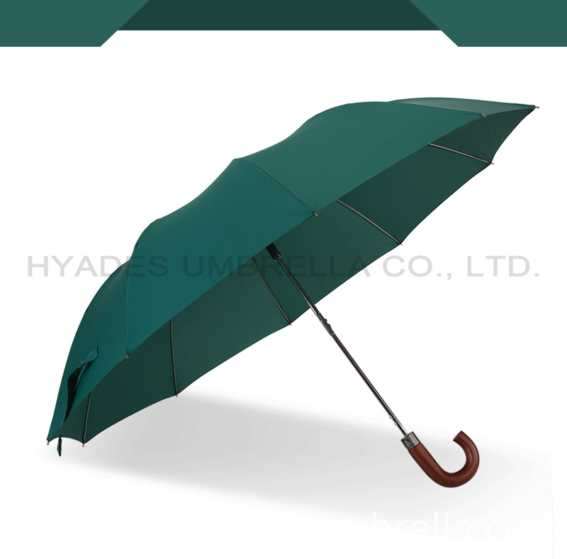 10 Ribs Auto Open 2 Section Parapluie Pliant 10 Ribs Auto Open 2 Section Folding Umbrella